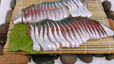 제주하이수산 후기! 싱싱함에 감동😍 할인 꿀팁까지!
