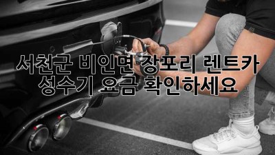 서천군 비인면 장포리 렌트카 성수기 요금 확인하세요!
